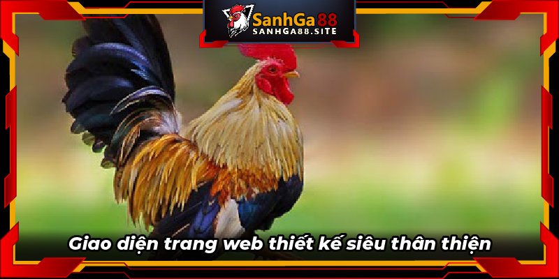 Giao diện trang web thiết kế siêu thân thiện 