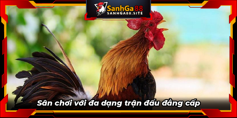 Sân chơi với đa dạng trận đấu đẳng cấp