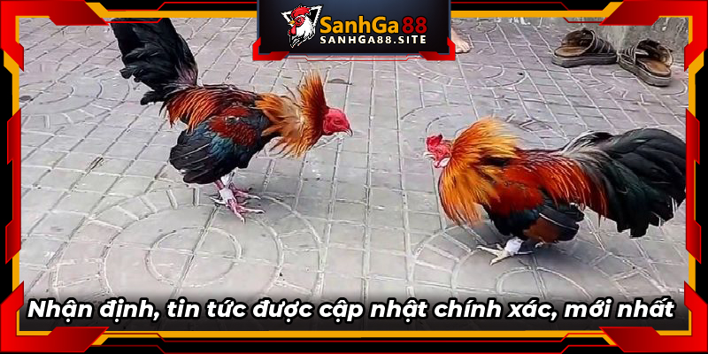 Nhận định, tin tức được cập nhật chính xác, mới nhất 