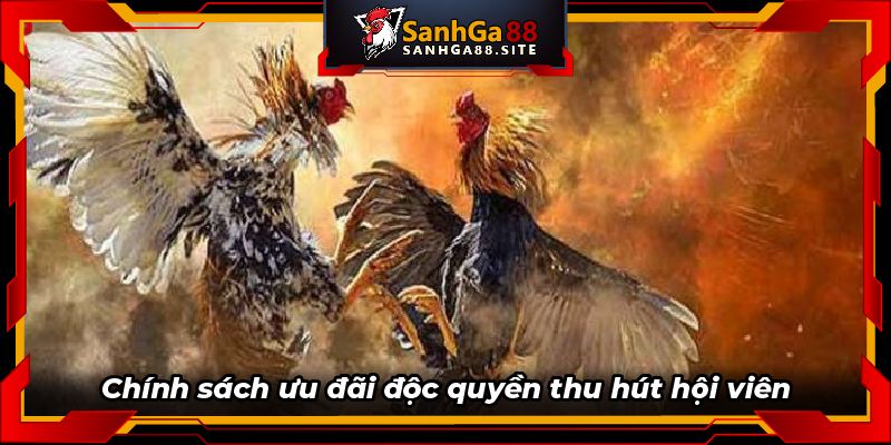 Chính sách ưu đãi độc quyền thu hút hội viên