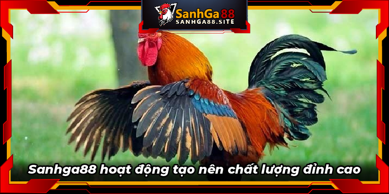 Sanhga88 hoạt động tạo nên chất lượng đỉnh cao